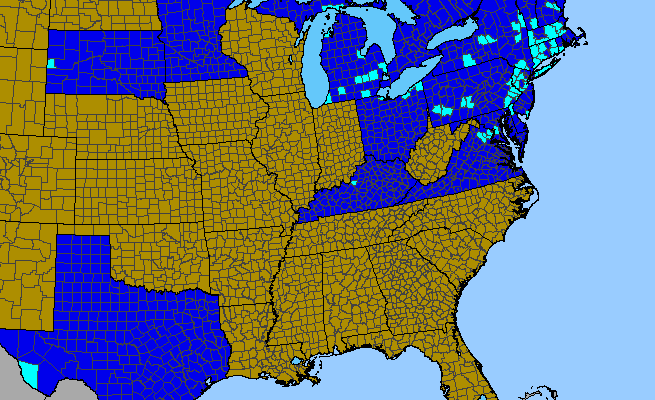 The range of Prunus domestica